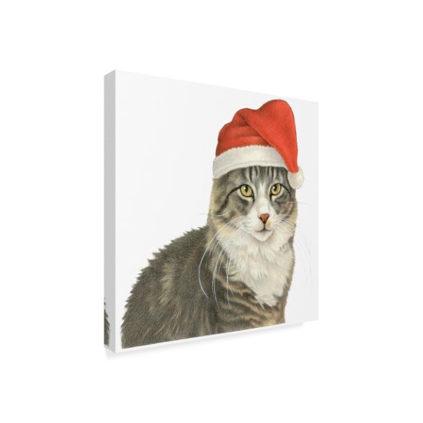 Francien Van Westering 'Christmas Kitty' Canvas Art,35x35